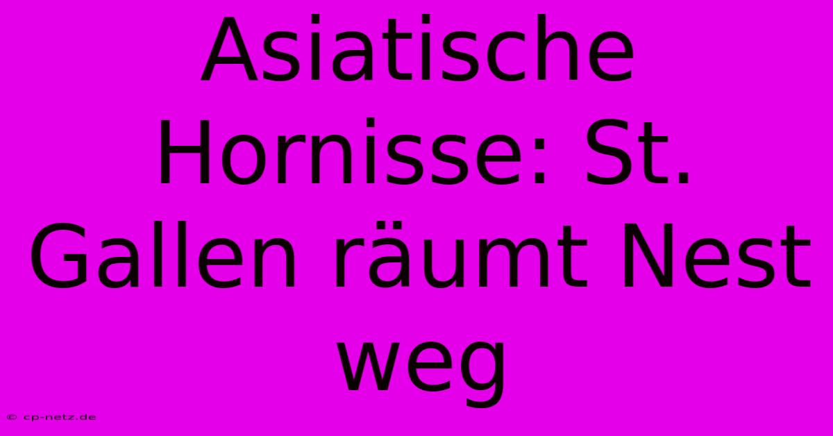 Asiatische Hornisse: St. Gallen Räumt Nest Weg