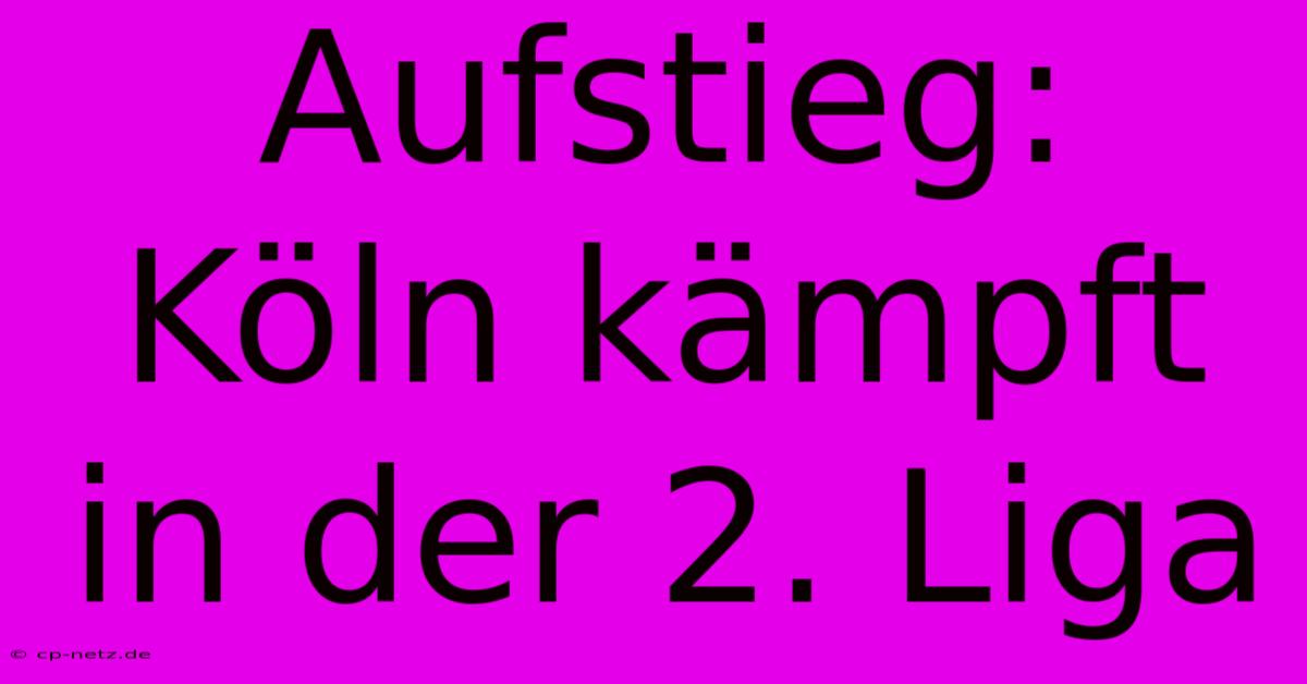 Aufstieg: Köln Kämpft In Der 2. Liga