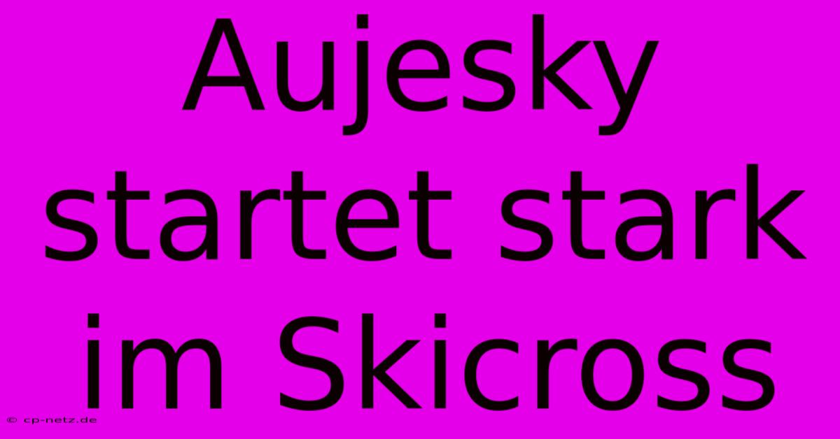 Aujesky Startet Stark Im Skicross