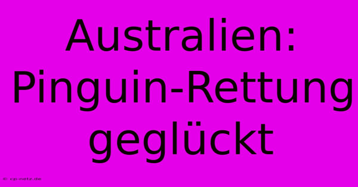 Australien: Pinguin-Rettung Geglückt