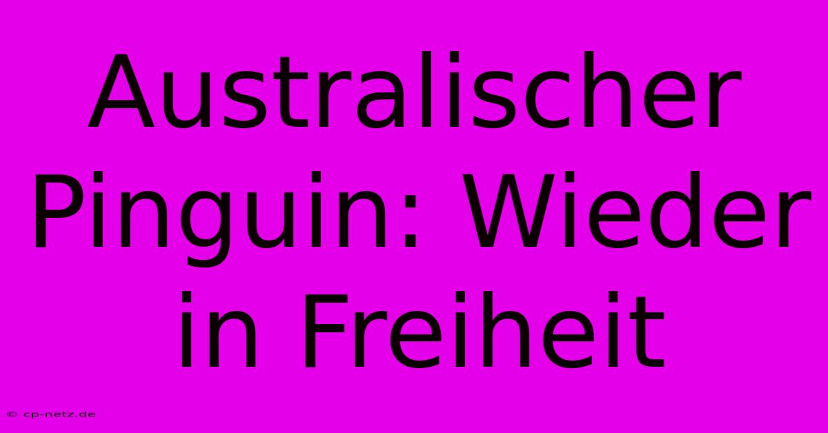 Australischer Pinguin: Wieder In Freiheit