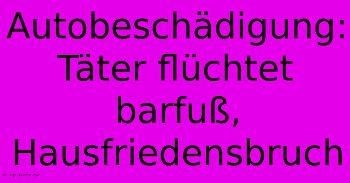 Autobeschädigung: Täter Flüchtet Barfuß, Hausfriedensbruch