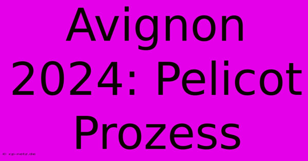 Avignon 2024: Pelicot Prozess