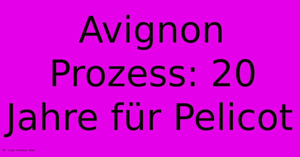 Avignon Prozess: 20 Jahre Für Pelicot