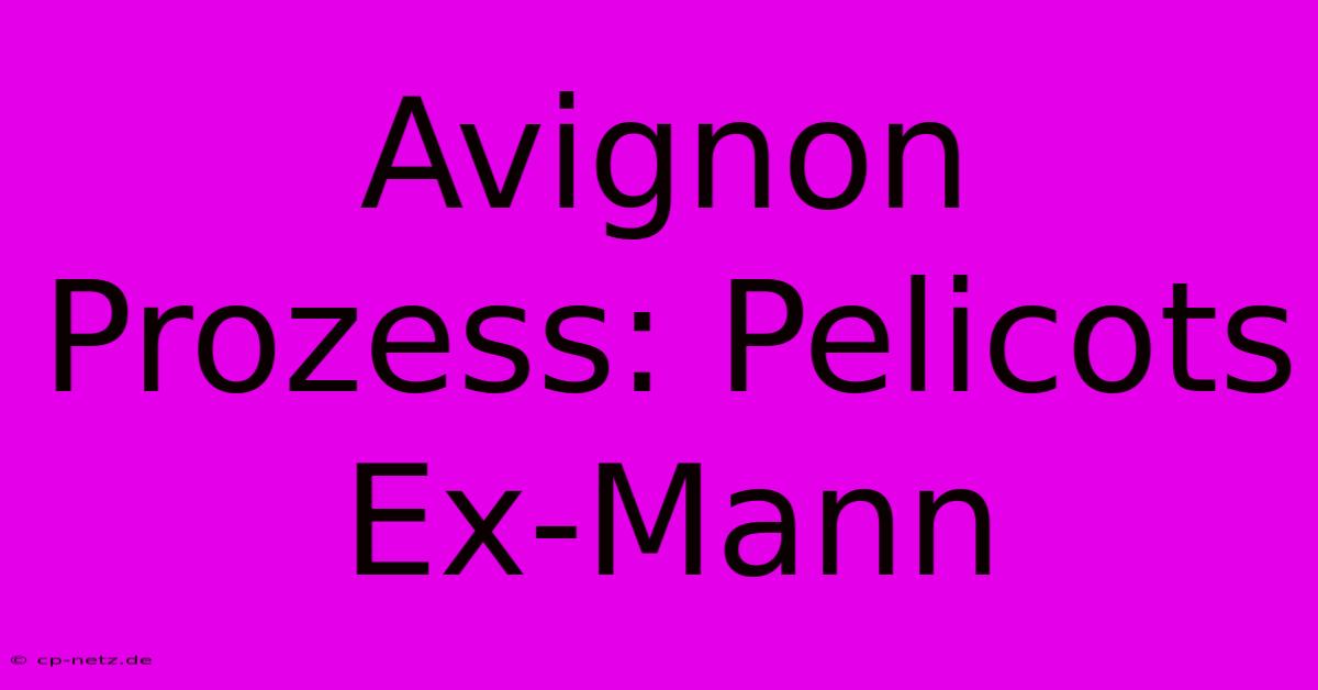 Avignon Prozess: Pelicots Ex-Mann