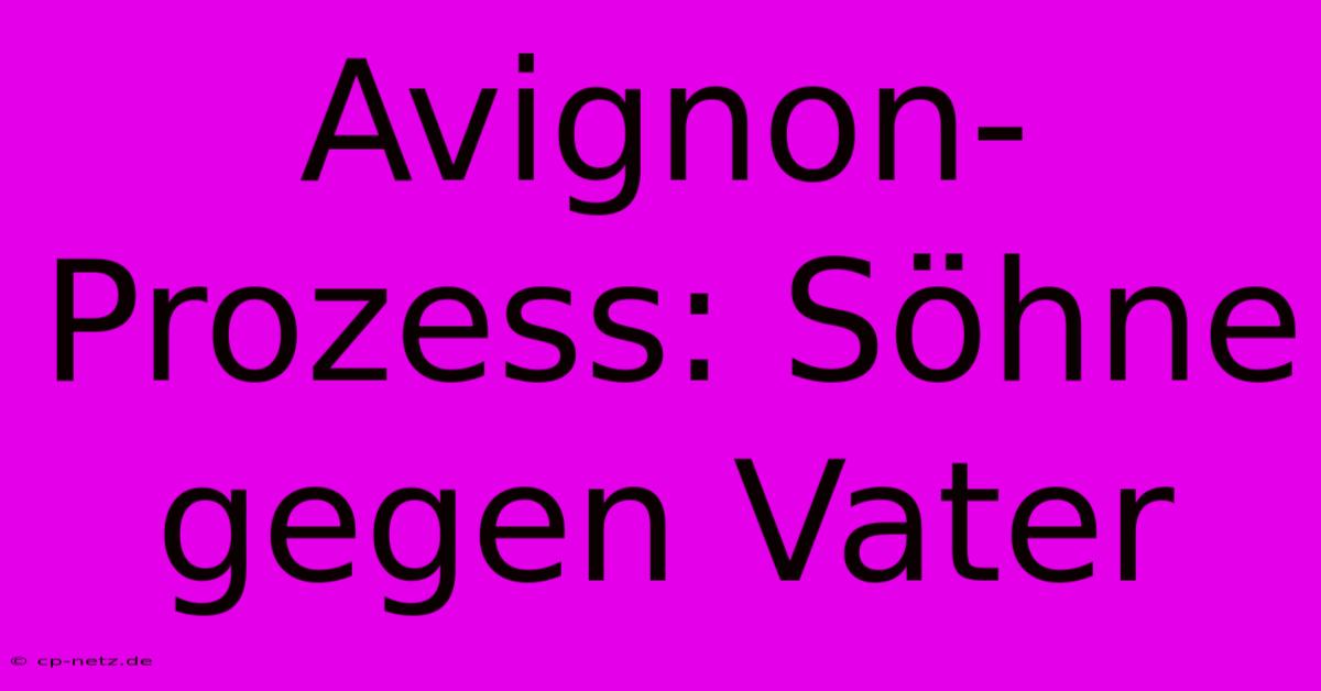 Avignon-Prozess: Söhne Gegen Vater