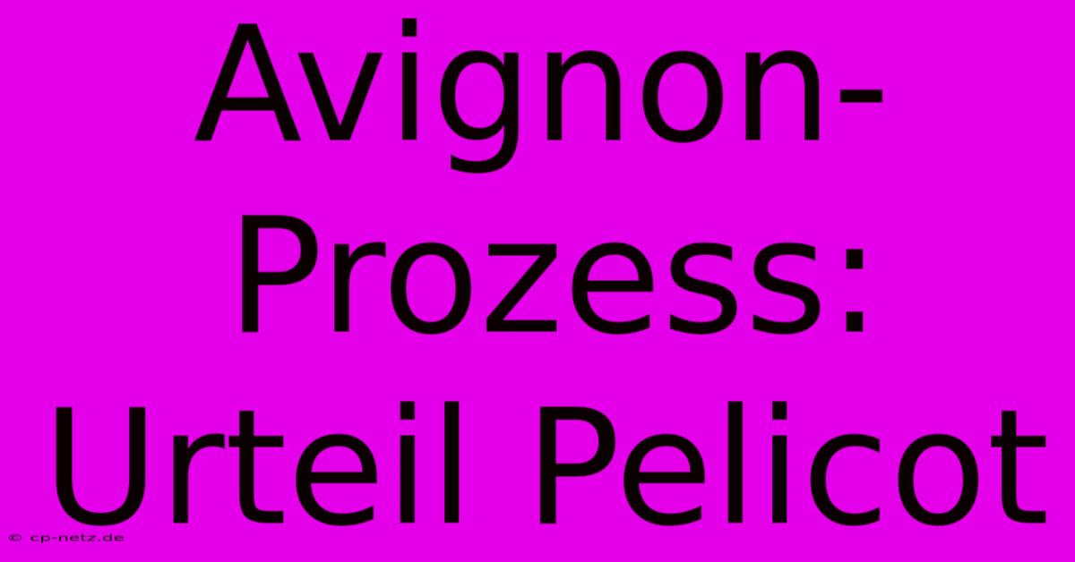 Avignon-Prozess: Urteil Pelicot