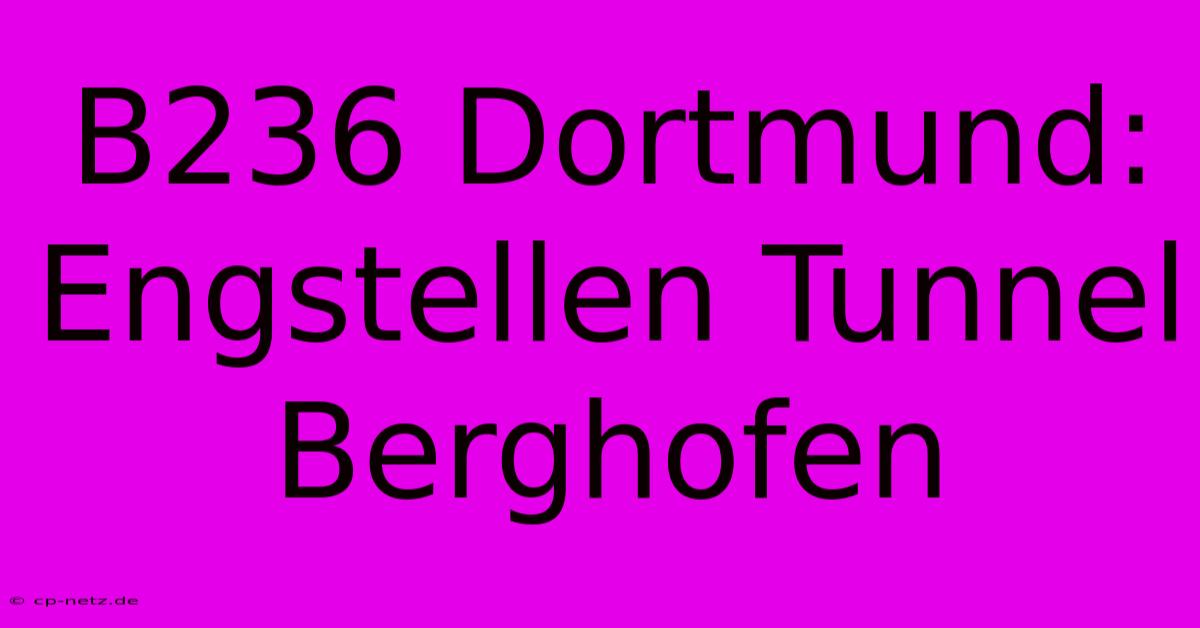 B236 Dortmund: Engstellen Tunnel Berghofen