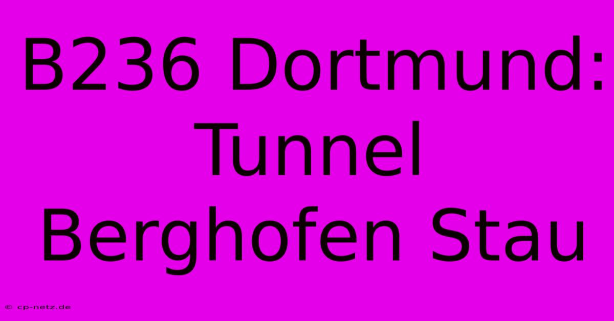 B236 Dortmund: Tunnel Berghofen Stau