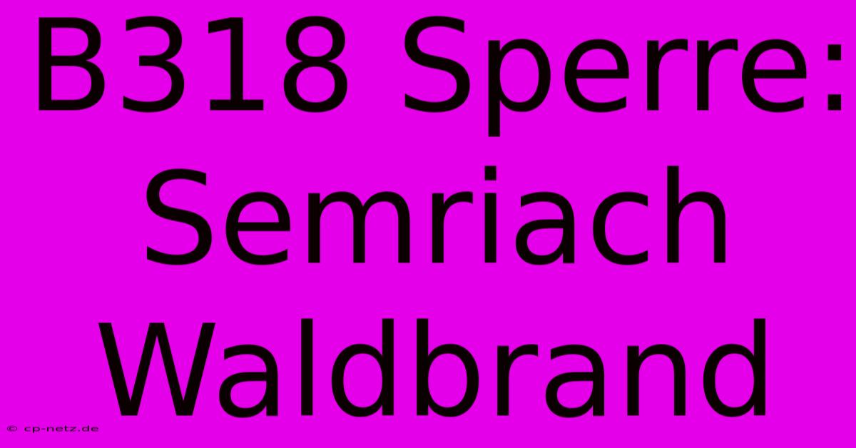 B318 Sperre: Semriach Waldbrand