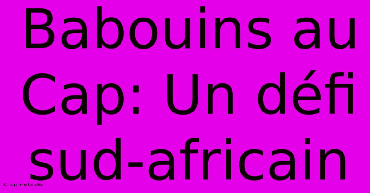 Babouins Au Cap: Un Défi Sud-africain