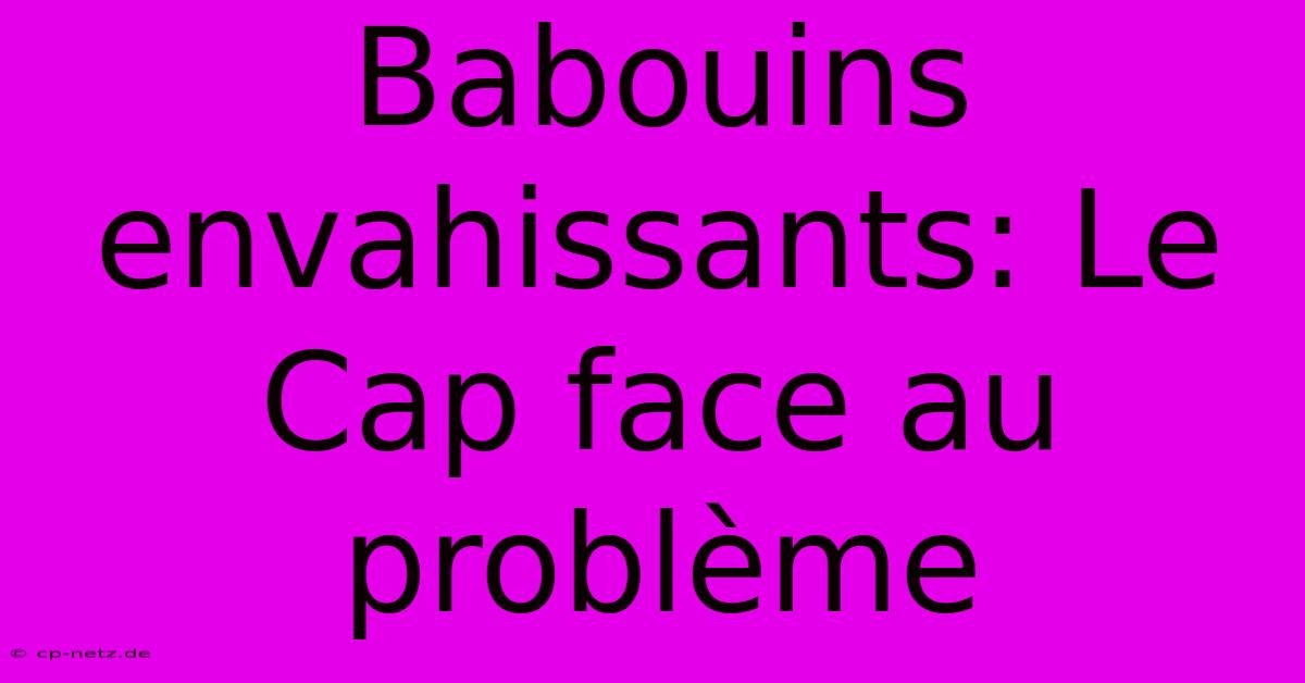 Babouins Envahissants: Le Cap Face Au Problème