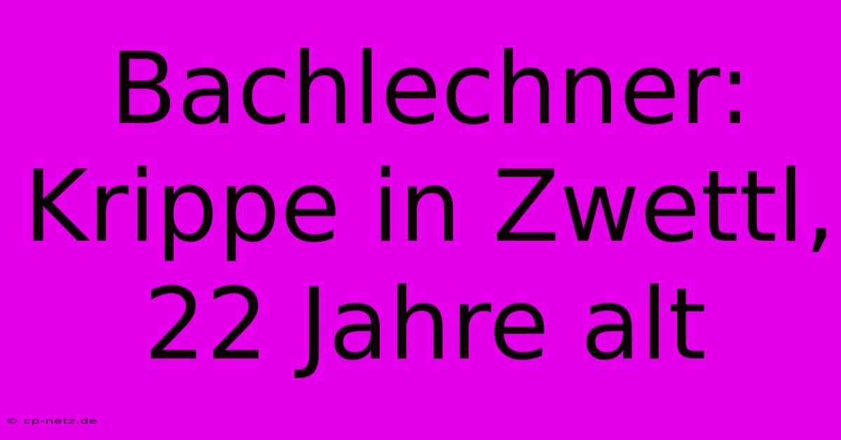 Bachlechner: Krippe In Zwettl, 22 Jahre Alt