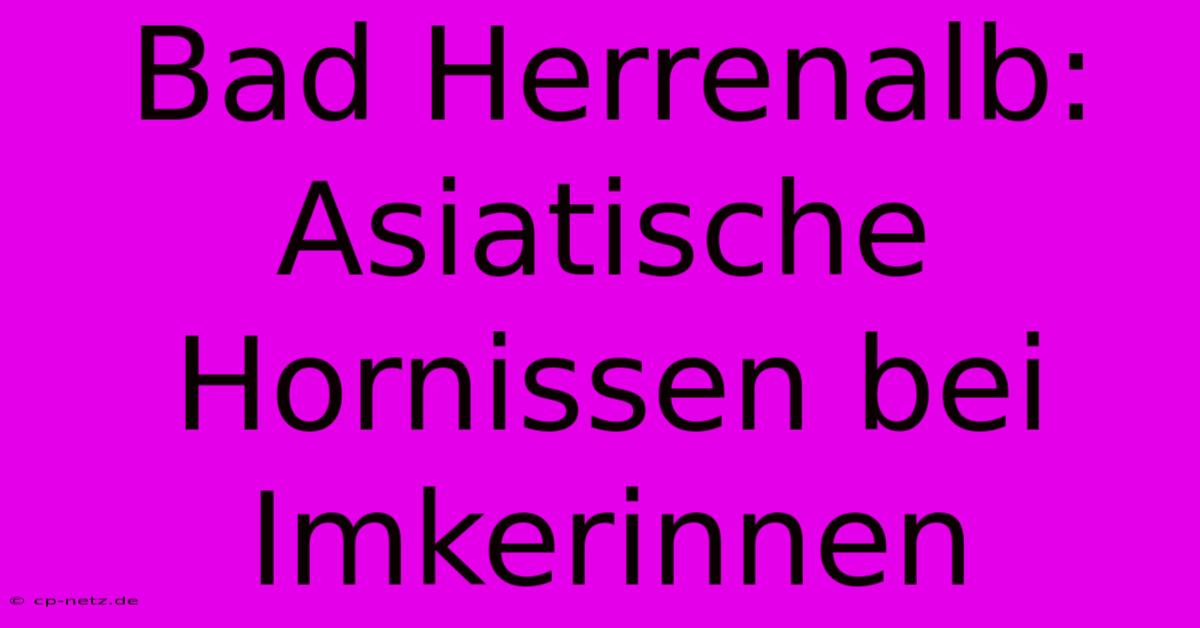 Bad Herrenalb: Asiatische Hornissen Bei Imkerinnen