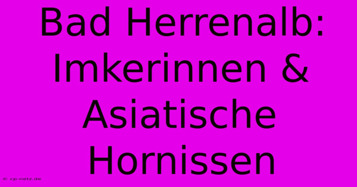 Bad Herrenalb: Imkerinnen & Asiatische Hornissen