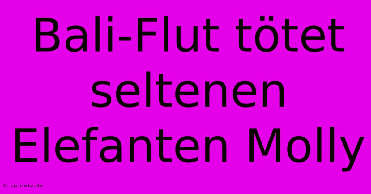 Bali-Flut Tötet Seltenen Elefanten Molly