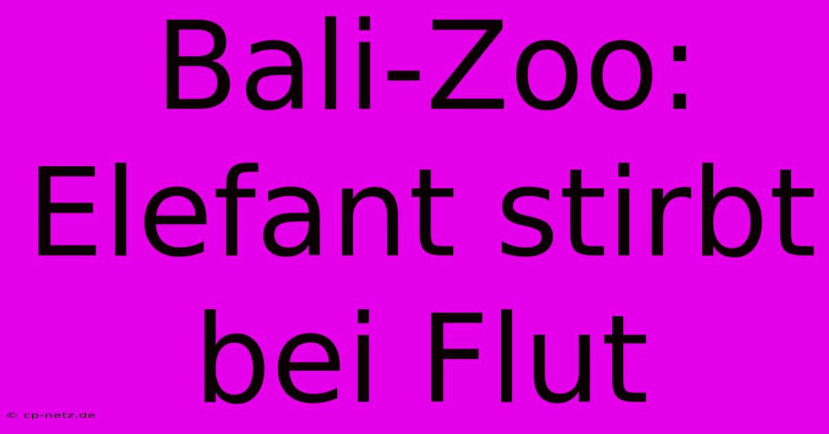 Bali-Zoo: Elefant Stirbt Bei Flut