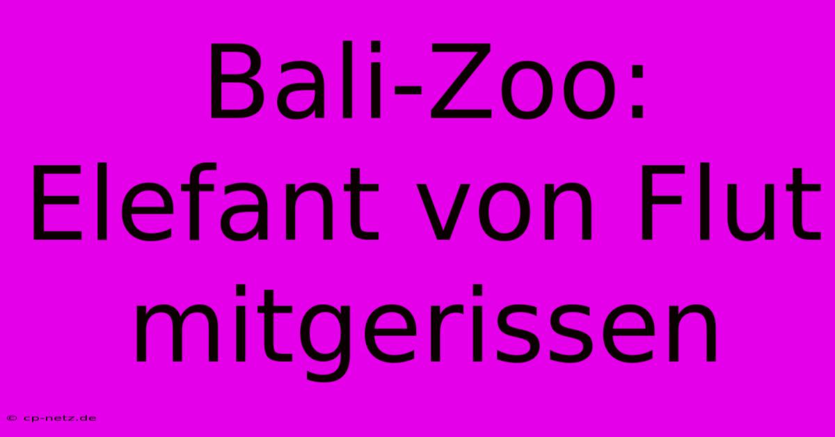 Bali-Zoo: Elefant Von Flut Mitgerissen