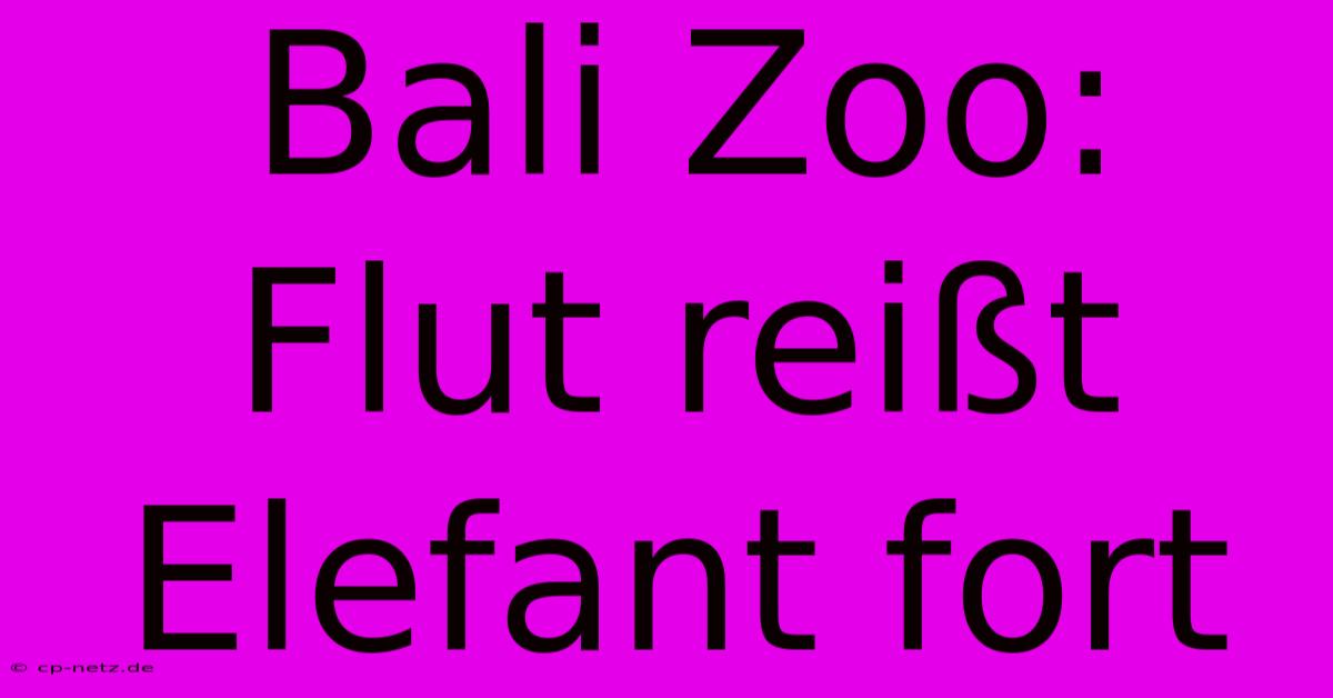 Bali Zoo: Flut Reißt Elefant Fort