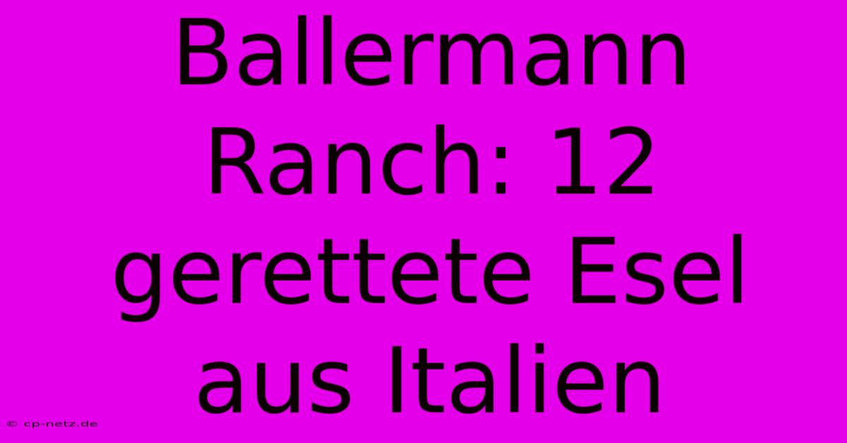 Ballermann Ranch: 12 Gerettete Esel Aus Italien