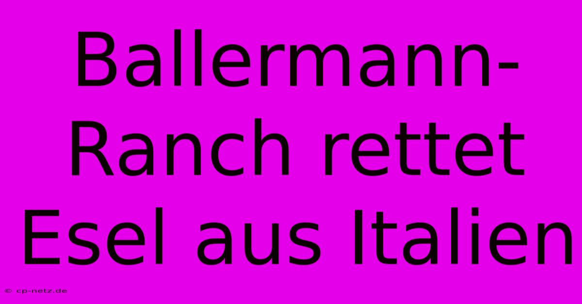 Ballermann-Ranch Rettet Esel Aus Italien