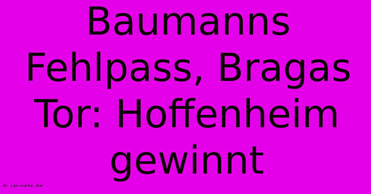 Baumanns Fehlpass, Bragas Tor: Hoffenheim Gewinnt