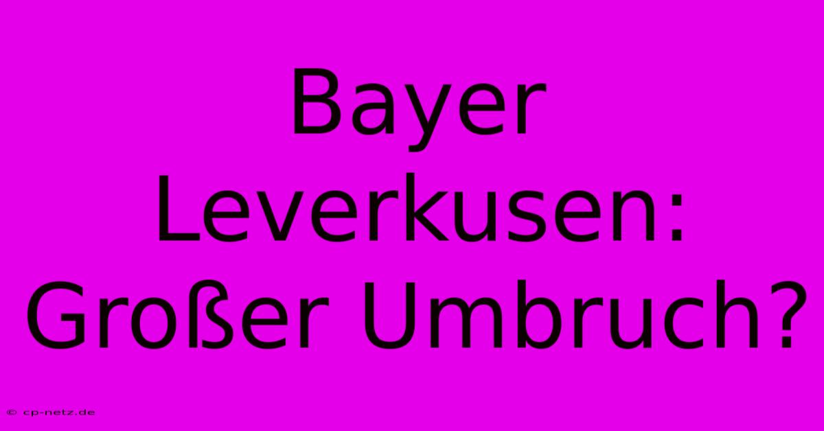 Bayer Leverkusen: Großer Umbruch?