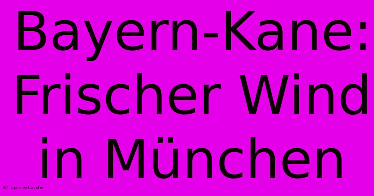 Bayern-Kane: Frischer Wind In München