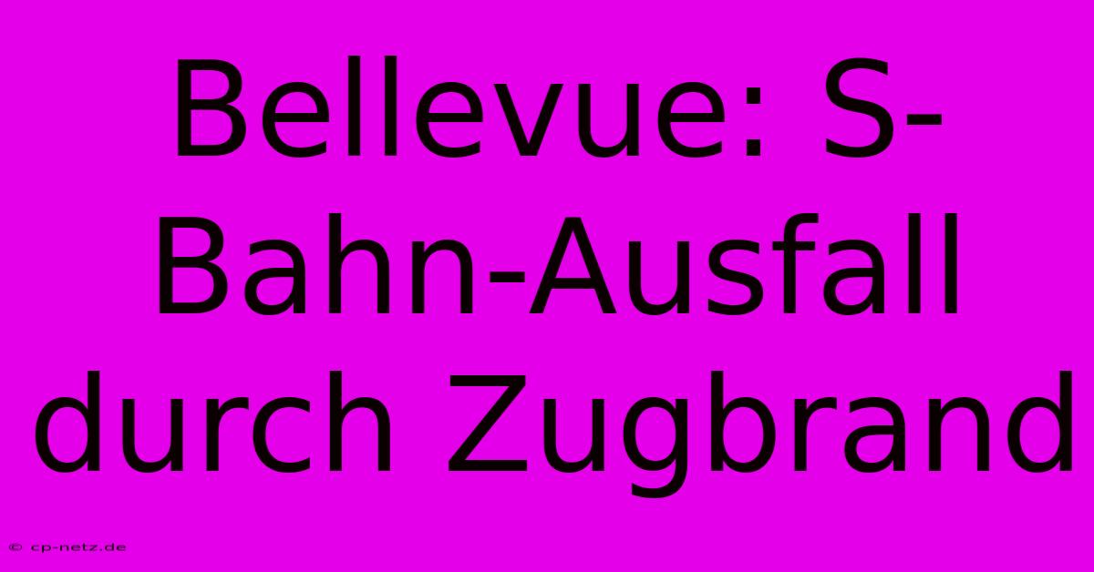 Bellevue: S-Bahn-Ausfall Durch Zugbrand