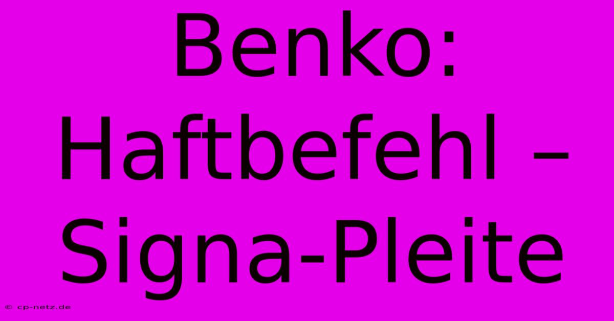 Benko: Haftbefehl – Signa-Pleite