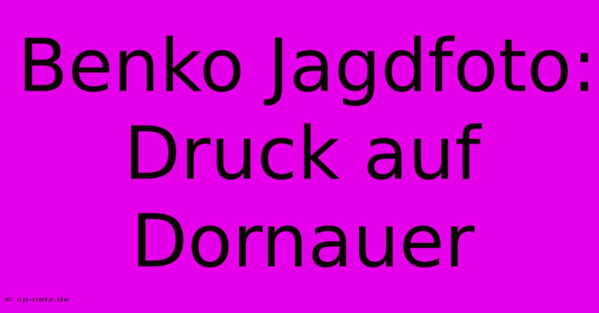 Benko Jagdfoto: Druck Auf Dornauer