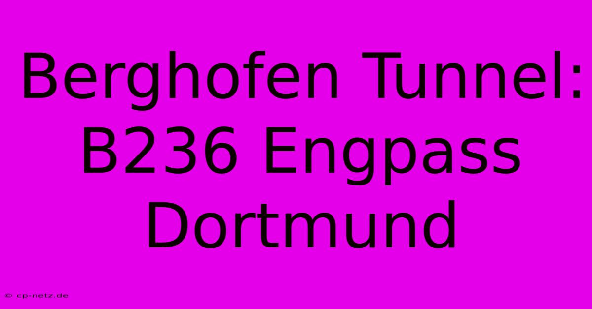 Berghofen Tunnel: B236 Engpass Dortmund