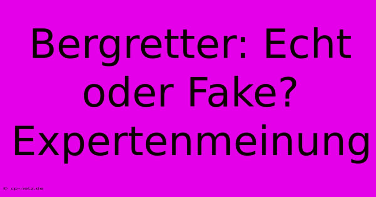 Bergretter: Echt Oder Fake? Expertenmeinung