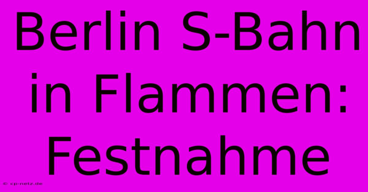 Berlin S-Bahn In Flammen: Festnahme