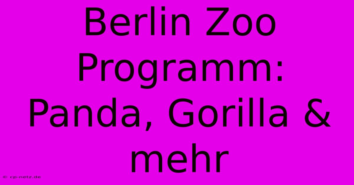 Berlin Zoo Programm: Panda, Gorilla & Mehr