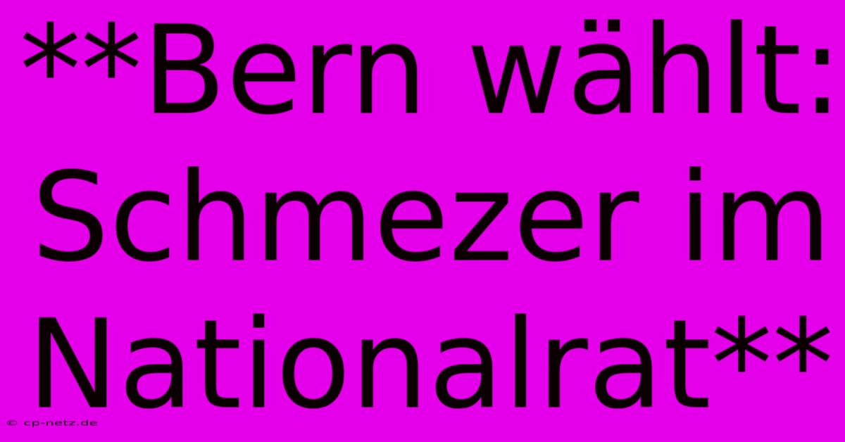 **Bern Wählt: Schmezer Im Nationalrat**