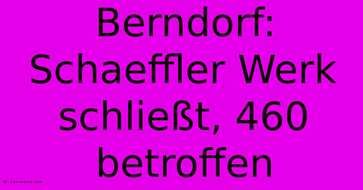 Berndorf: Schaeffler Werk Schließt, 460 Betroffen