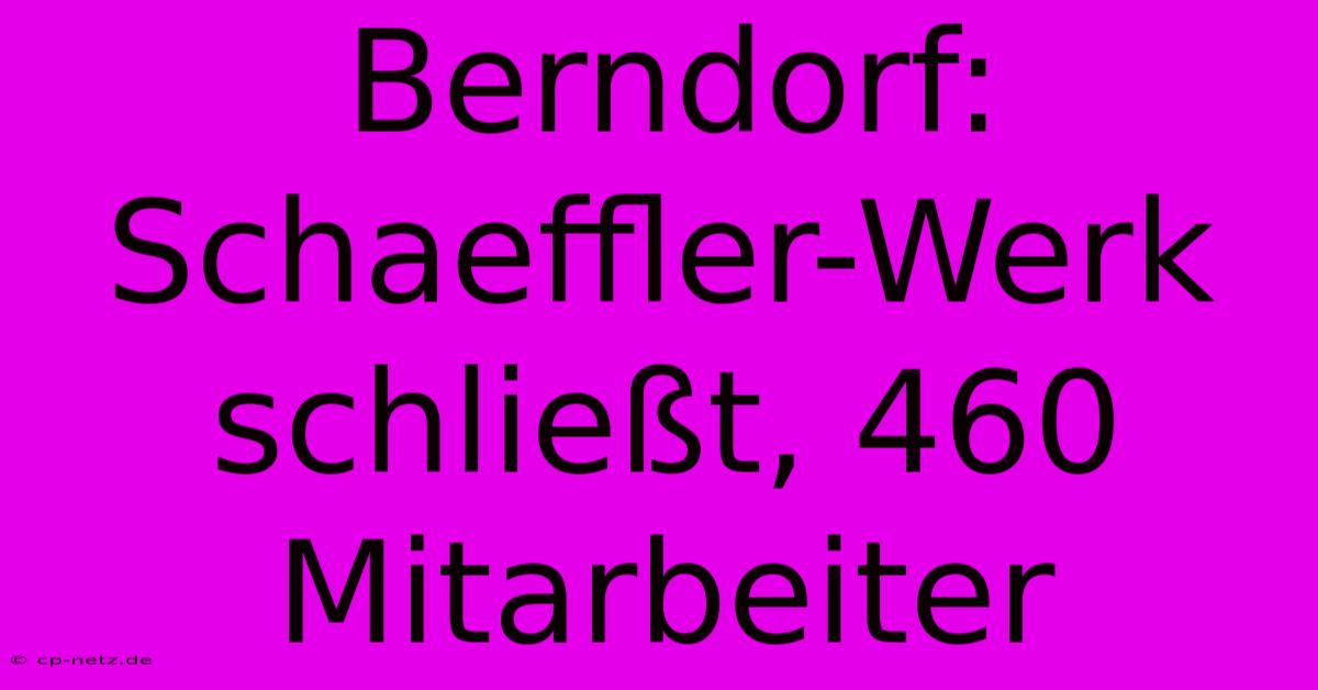 Berndorf: Schaeffler-Werk Schließt, 460 Mitarbeiter