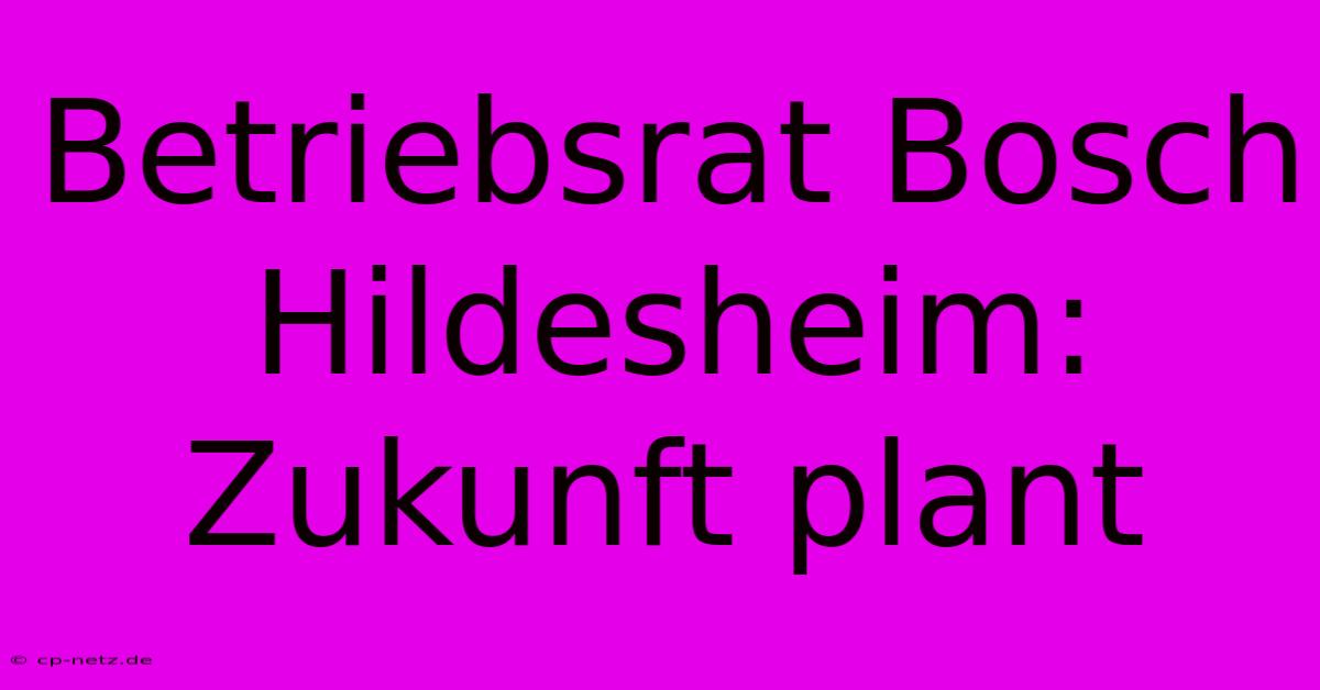 Betriebsrat Bosch Hildesheim:  Zukunft Plant