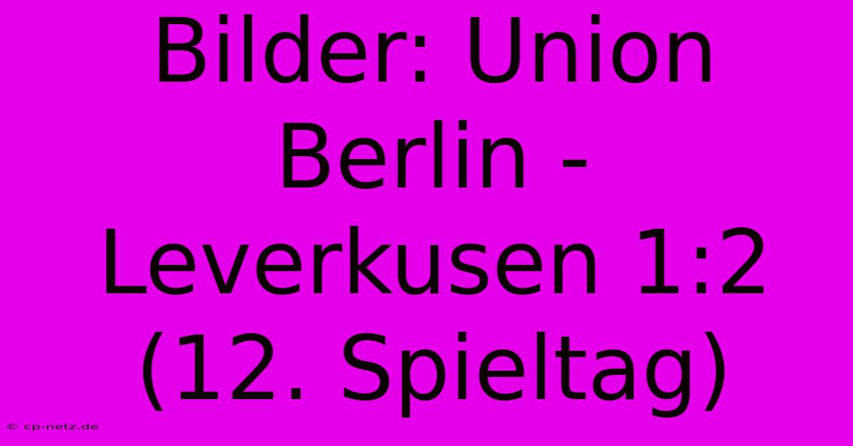 Bilder: Union Berlin - Leverkusen 1:2 (12. Spieltag)