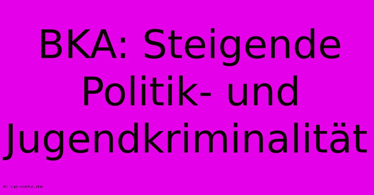 BKA: Steigende Politik- Und Jugendkriminalität