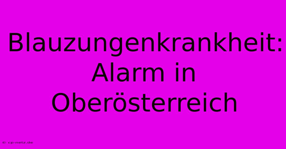 Blauzungenkrankheit: Alarm In Oberösterreich