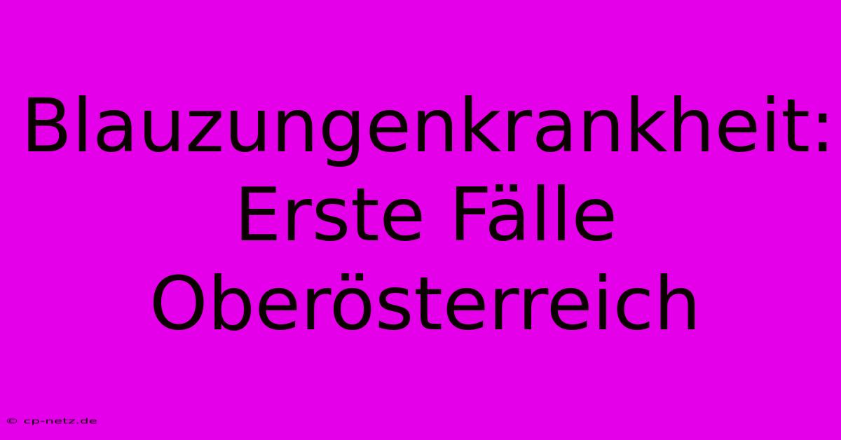 Blauzungenkrankheit: Erste Fälle Oberösterreich