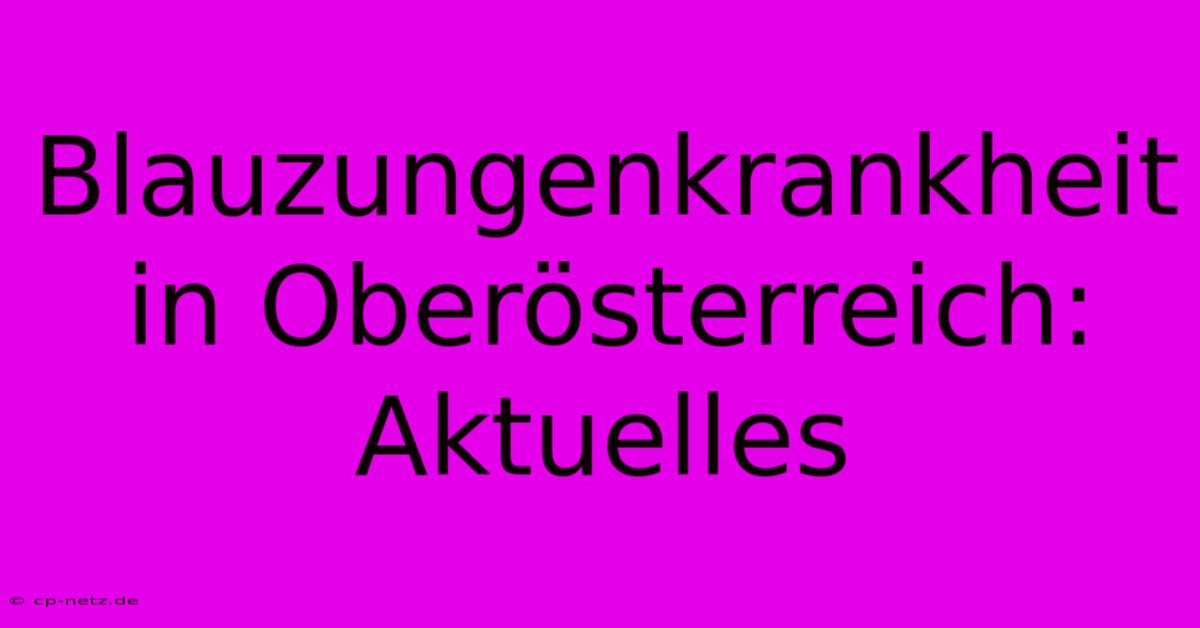 Blauzungenkrankheit In Oberösterreich: Aktuelles