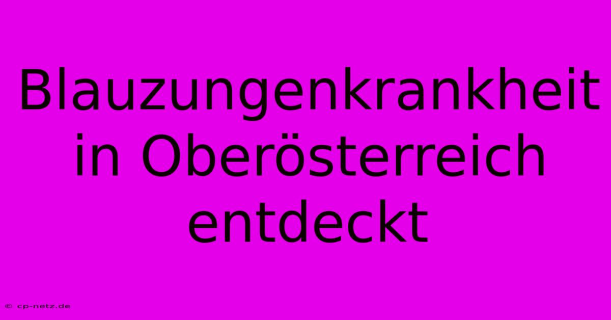 Blauzungenkrankheit In Oberösterreich Entdeckt