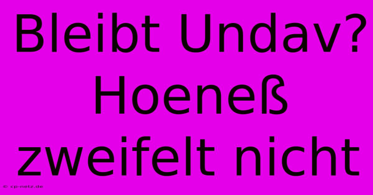 Bleibt Undav? Hoeneß Zweifelt Nicht