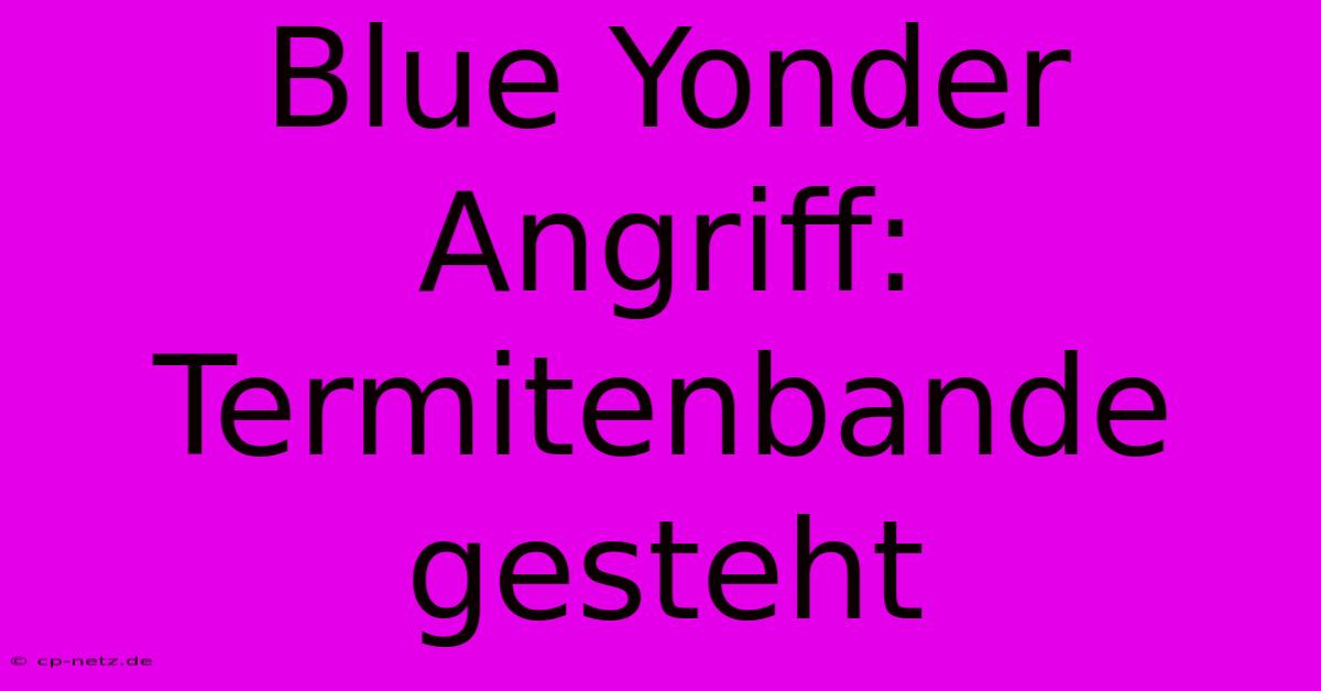 Blue Yonder Angriff: Termitenbande Gesteht