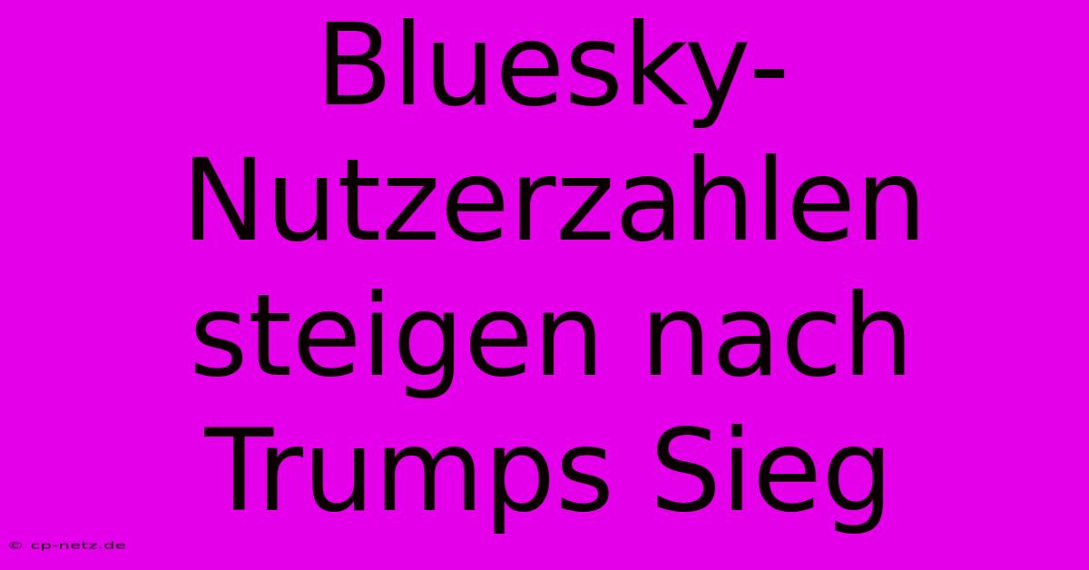 Bluesky-Nutzerzahlen Steigen Nach Trumps Sieg