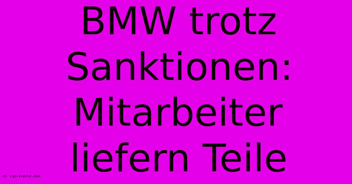 BMW Trotz Sanktionen: Mitarbeiter Liefern Teile