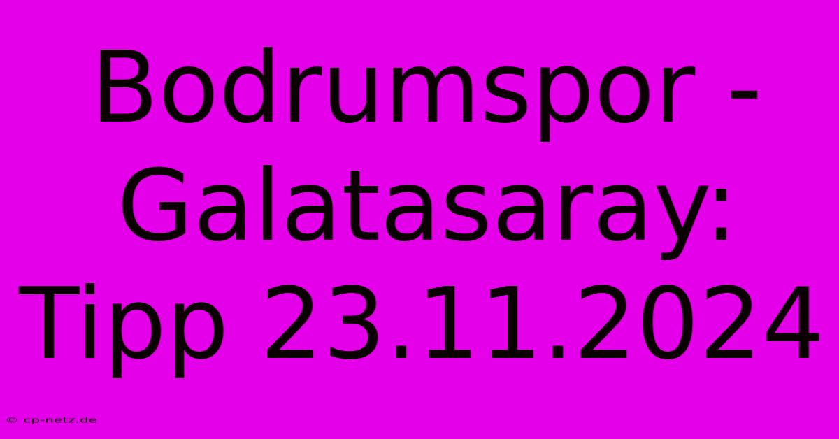 Bodrumspor - Galatasaray: Tipp 23.11.2024